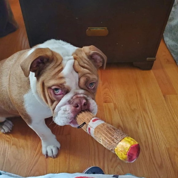 Like ❤️ this Listing To be notified of my Auctions! - Picture 11 of 16